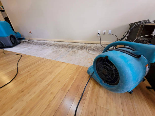 Professional Structural Drying technician working in Randleman, NC